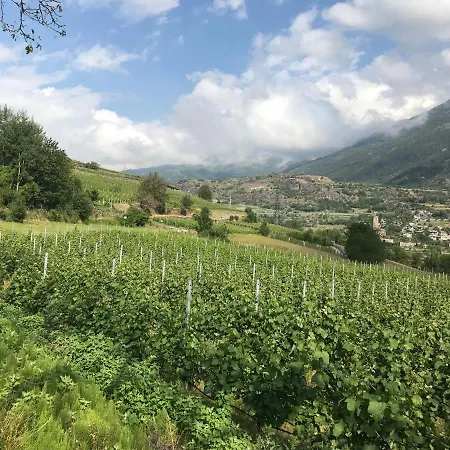 Frühstückspension La Mucca Pelosa Jovencan