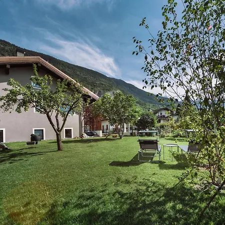 La Mucca Pelosa Jovencan