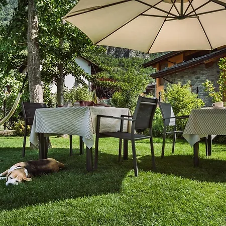 La Mucca Pelosa 3* Jovencan