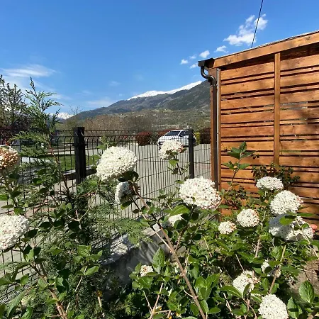 La Mucca Pelosa Jovencan