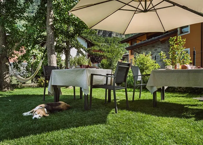 La Mucca Pelosa 3* Jovencan