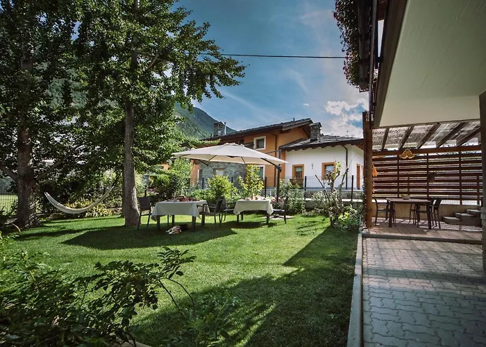 La Mucca Pelosa Jovencan